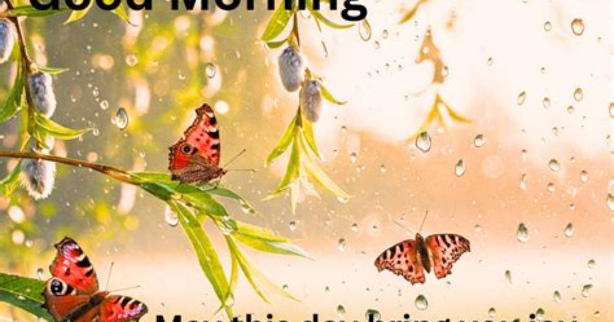 Embracing the Joy of a Good Morning Happy Rainy Sunday