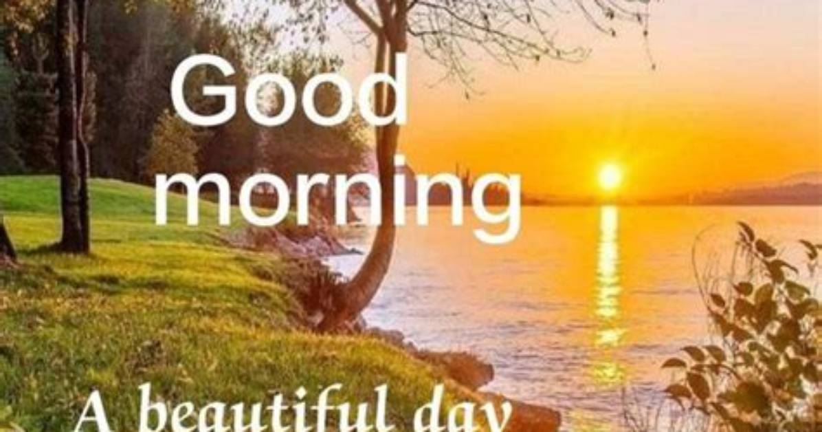 Embracing the Serenity of Beautiful Sunday Morning Greetings