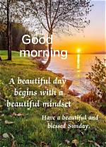 Embracing the Serenity of Beautiful Sunday Morning Greetings