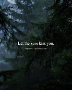 Embracing the Serenity of Rain: Inspiring Rainy Good Morning Messages