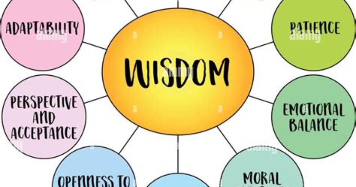 Experience, Wisdom, and Leadership Insights