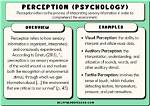 Exploring Influences, Perceptions, and the Person Within