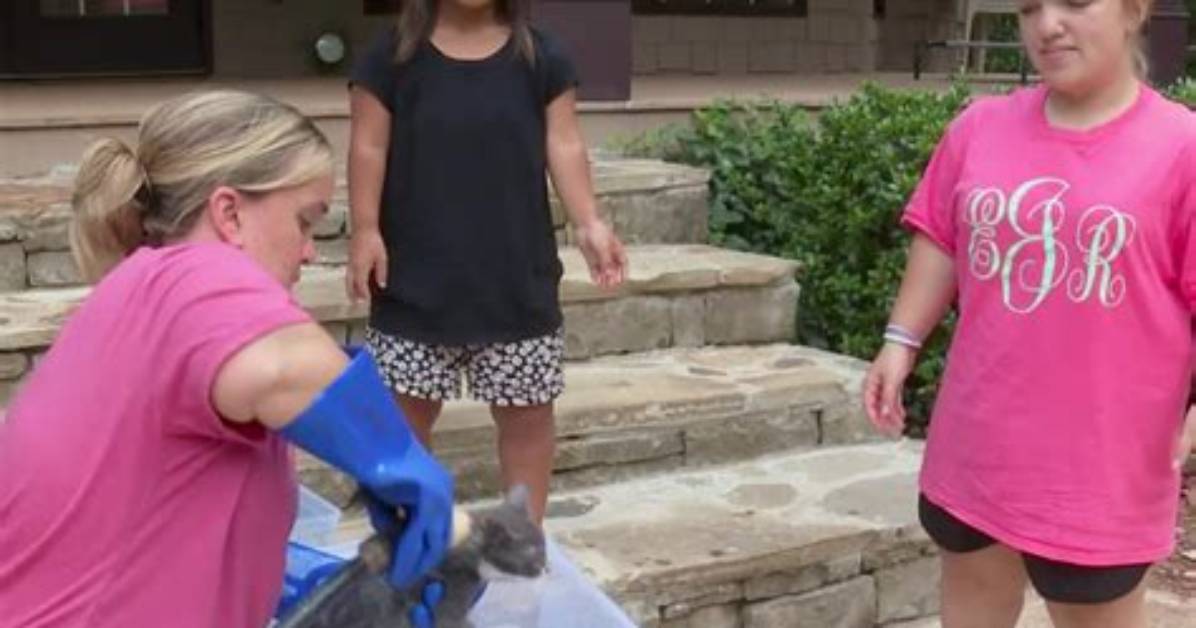 Exploring the Journey of Liz and Brice's Baby Dwarf