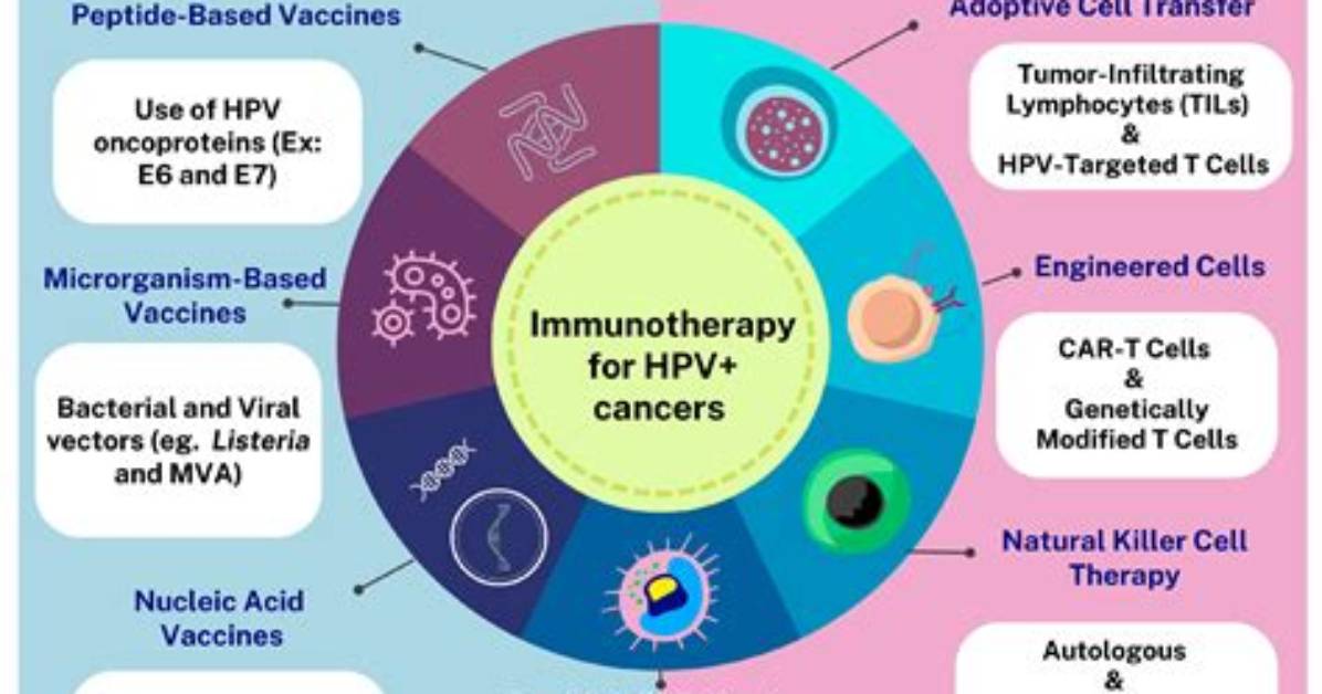 Exploring the Possibilities of an Hpv Cure