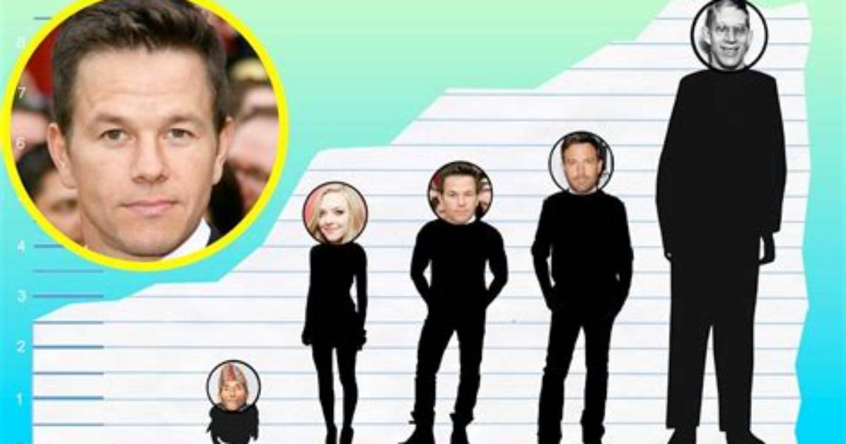 Exploring the Remarkable Height of Mark Wahlberg