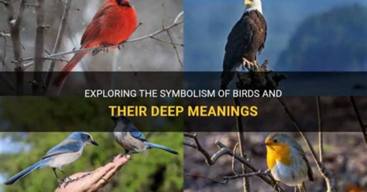 Exploring the Symbolism of Birds in the Bible