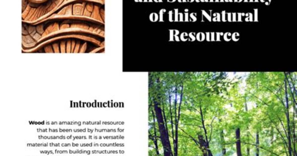 Exploring the Wonders of Wood Hardis