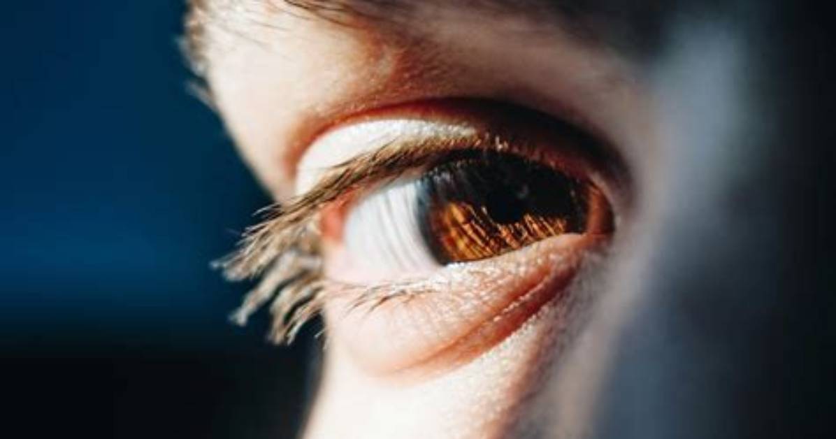 Eye-Opening Erotics: a Guide to Thrilling Sexual Experiences
