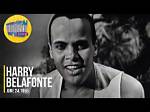 Harry Belafonte Net Worth: Fortune Explored as Calypso Legend Dies Aged 96