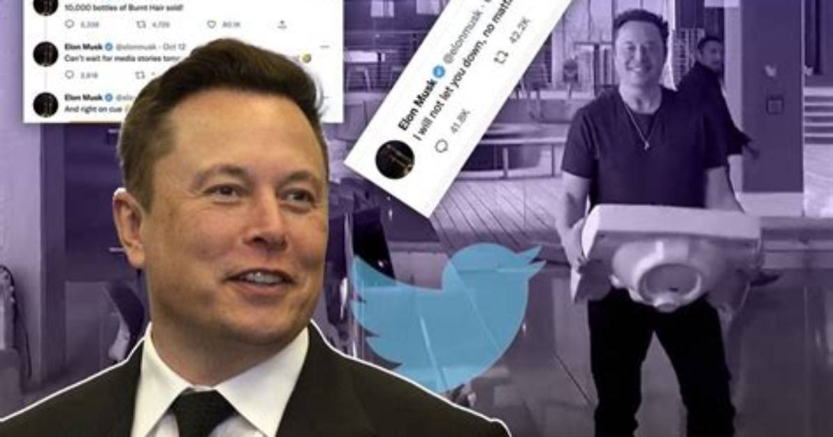 Has Elon Musk Bought Google? the Truth Behind the Speculation
