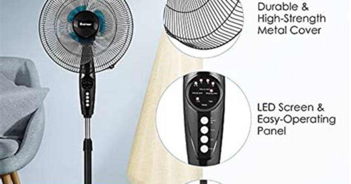 Height, Impact, and Fan Allure