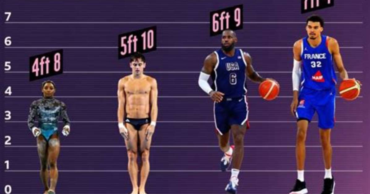 Height, Weight, and the Secrets to Basketball Dominance