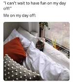 Hilarious Cuddling Memes to Brighten Your Day