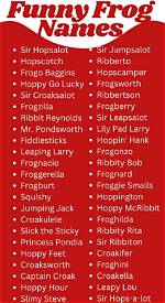 Hilarious Handle Hoppers: Funny Names for Frogs
