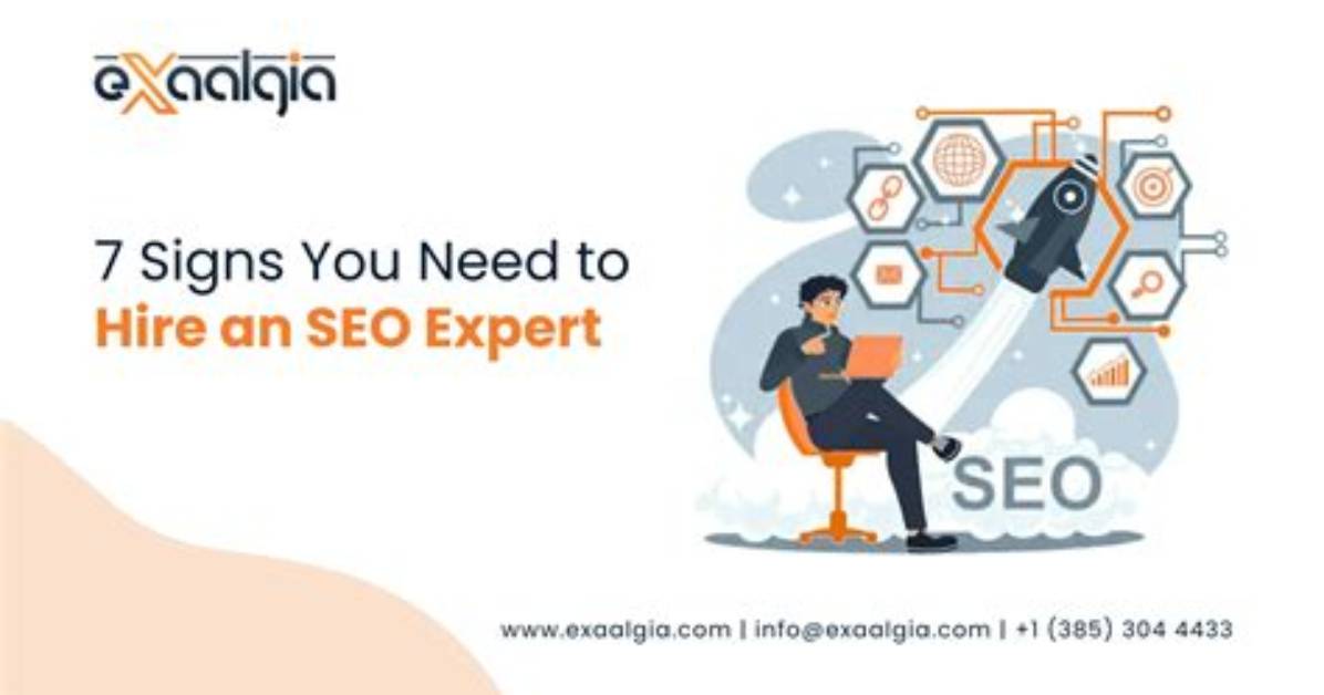Hire Seo Expert Natosha Dooling Today | Professional Seo Services