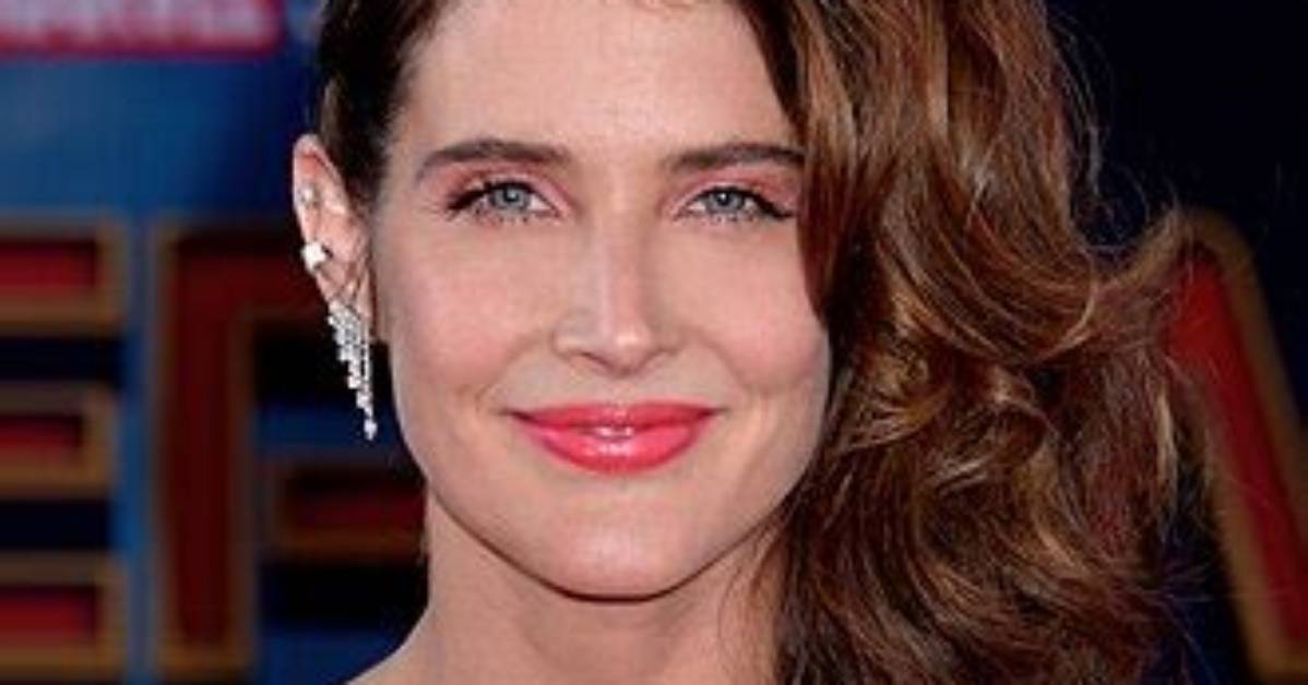 How Cobie Smulders Became Famous and Facts About Her Husband and Kids