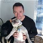 Hugh Jackman Pays Tribute to His Beloved Dog Who Sadly Passed Away