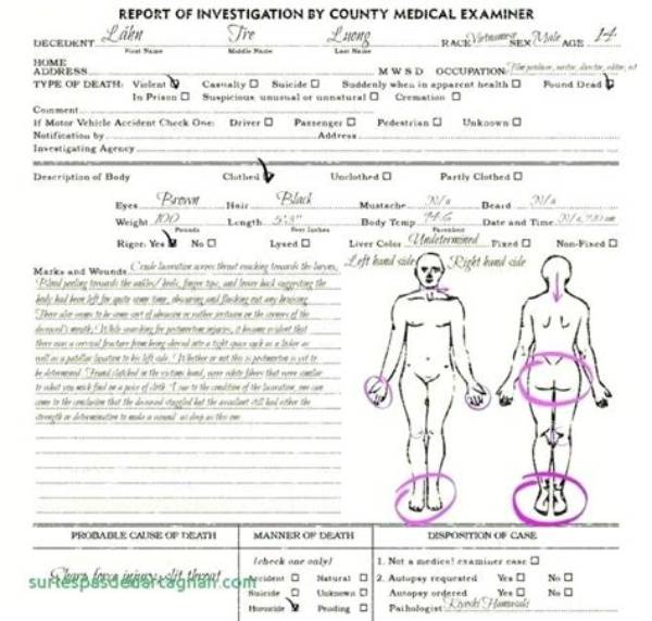 Is Gianna Bryant’s Autopsy Report Posted on Reddit? Find out Her Death Cause & Last Words