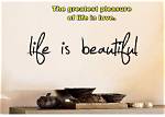 Is It True? "Is a Beautiful Life" Unveils True-Life Inspiration