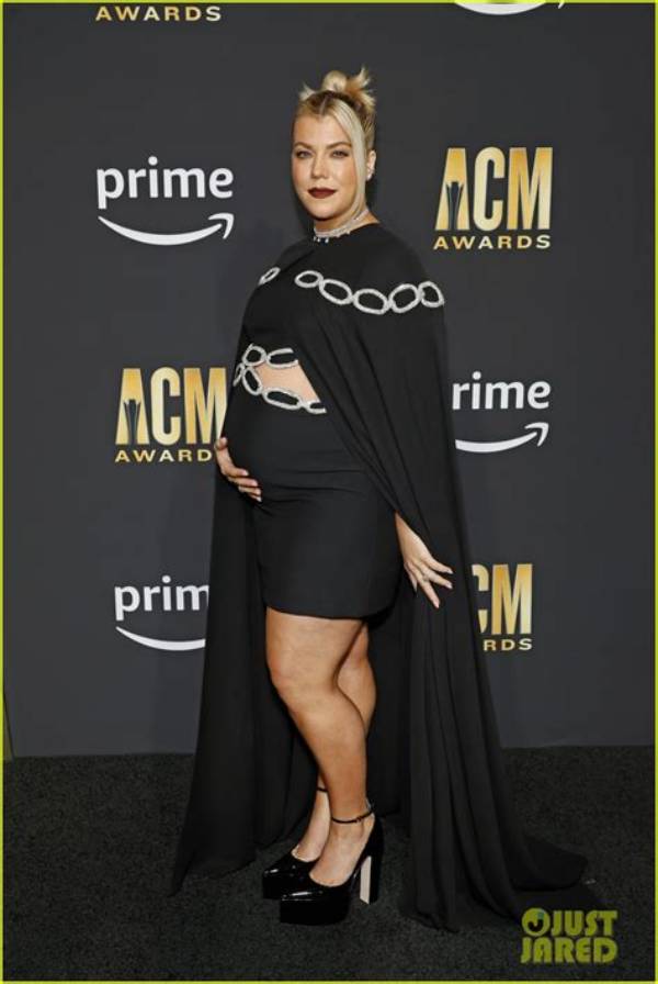 Is Lainey Wilson Pregnant in 2023? Who Is Lainey Wilson?