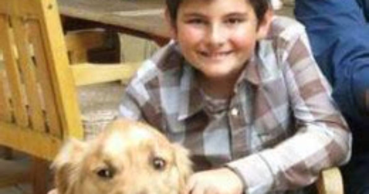 Kai Harper Steines Height, Weight, Net Worth, Age, Birthday, Wikipedia, Who, Instagram, Biography