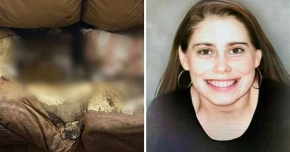Lacey Fletcher: the Controversial Police Video and Its Aftermath