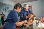 Latest Updates on Pol Veterinary Services News