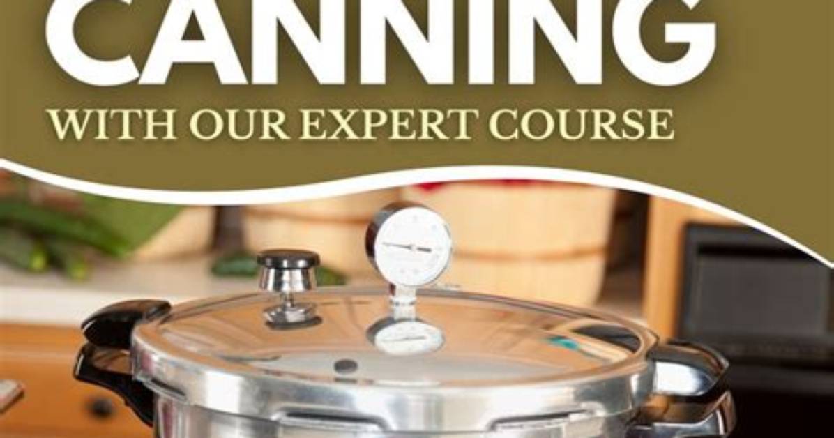 Learn from the Canning Expert: Cinda Canning's Masterclass