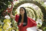 Lily Kwong: a Journey Through Nature and Design