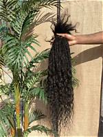 Lisa Bonet's Stunning Loc Extensions: a Journey Through Her Iconic Style