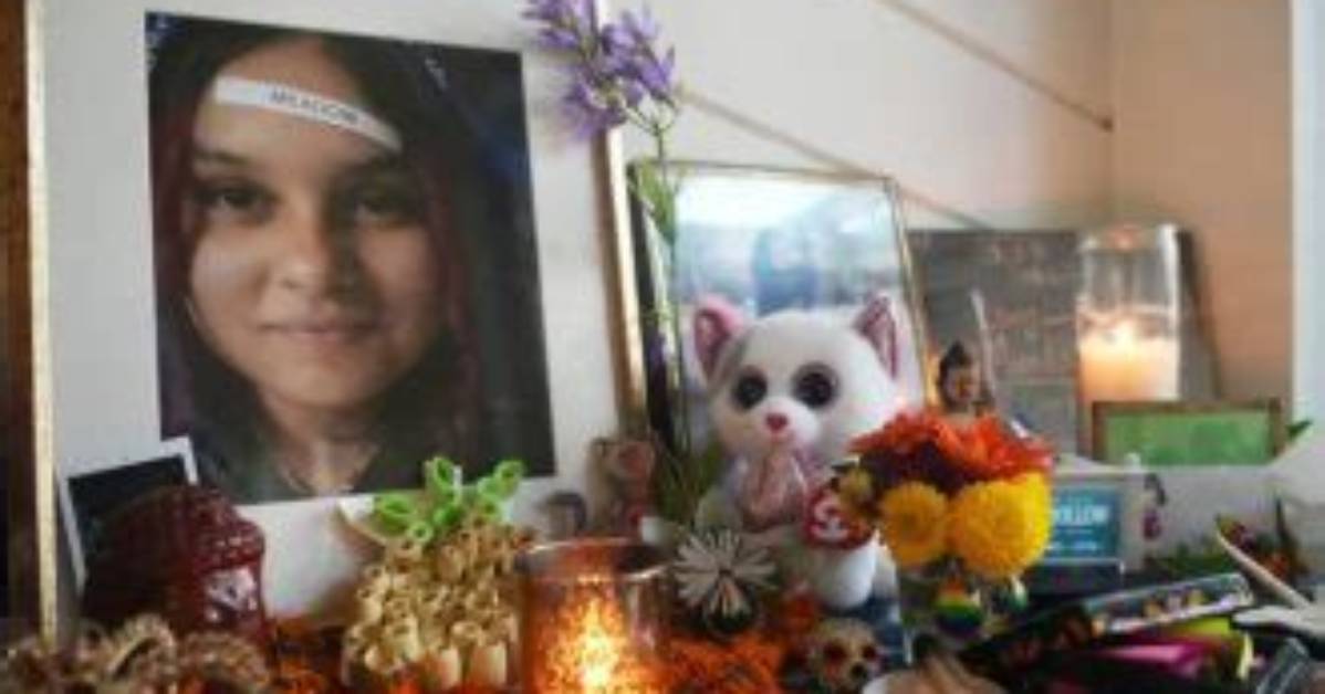 Meadow Goodman Death and Cause: Anderson High School Suicide Case