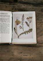 Medicinal Marvels and Botanical Insights