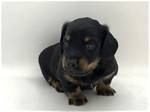 Meet Brady Foss: the Ultimate Guide to His Life and Career