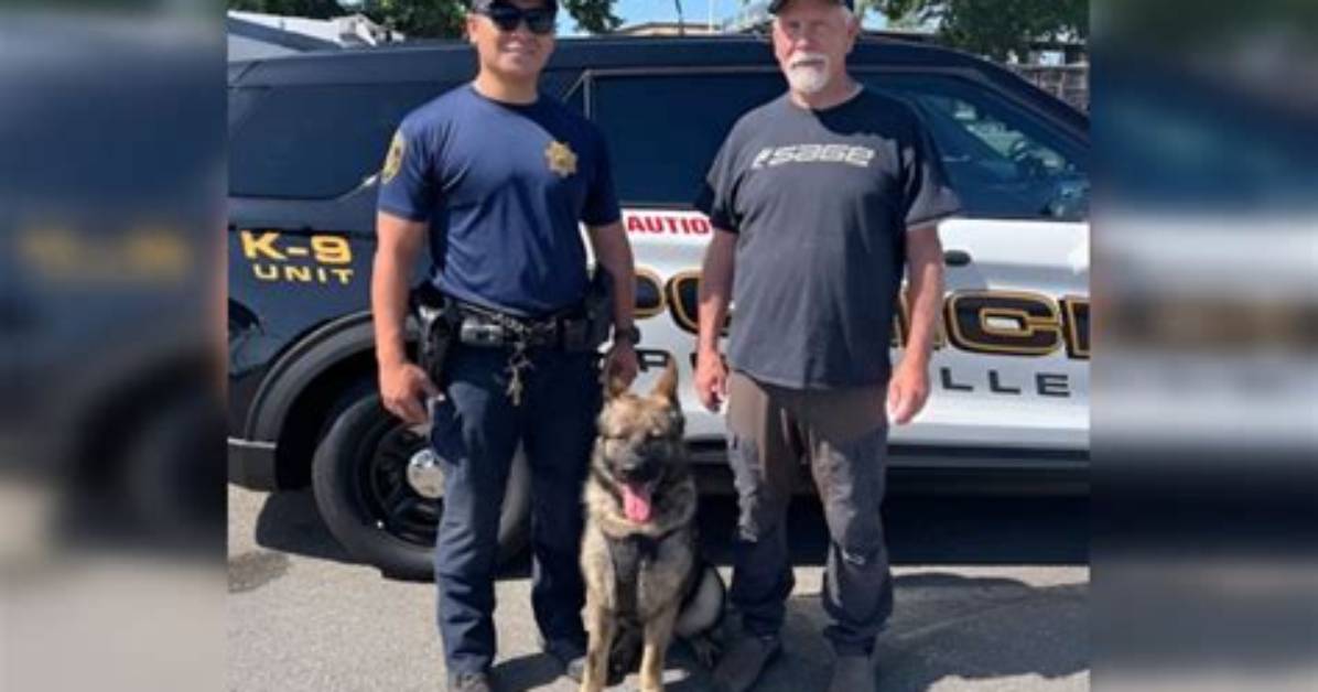 Meet the Crime-Fighting Canine: Who Is Scruff Mcgruff?