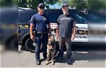 Meet the Crime-Fighting Canine: Who Is Scruff Mcgruff?
