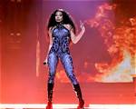 Megan Thee Stallion Erotic Content Unveiled