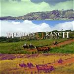 Mendes Ranch: a Hidden Gem of the Countryside
