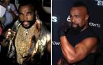 Mr. T's Evolution: an Insight into 2023