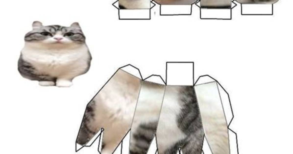 Munchkin Kitty Papercraft Print Tiktok Who Is El Gato Gomez Artist?