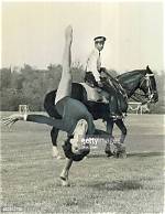 Nancy Mckeon, the Renowned Gymnast: a Legacy of Excellence