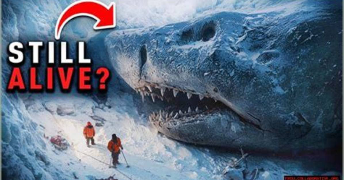 Nasa's Discovery of a Megalodon