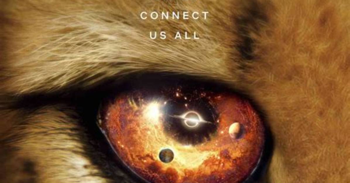 Netflix’s ‘Our Universe’ Explores How Animals Have Shaped the World — with Morgan Freeman’s Help