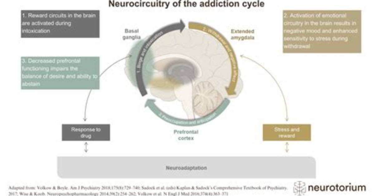 Neurological Genius, Addiction, and Redemption