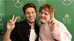 Niall Horan Joins Friend Lewis Capaldi on Stage at a Concert in Atlanta, Georgia: Watch