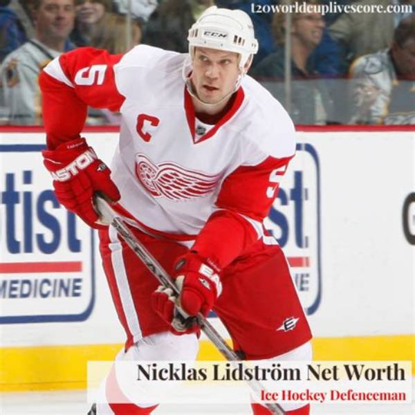 Nicklas Kingo Height, Weight, Net Worth, Age, Birthday, Wikipedia, Who, Nationality, Biography