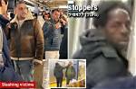 Nyc Slasher Suspect Finally Arrested After Horrific String of Attacks