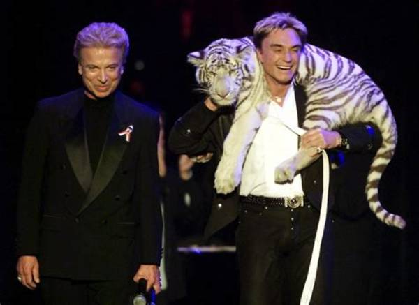 Photos: Roy Horn Face After Tiger Attack and Injuries – What Happened? Was the Tiger Euthanized?