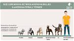 Pitbull Height: Understanding the Size and Build of This Beloved Breed