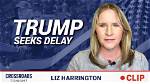 Secrets and Revelations About Liz Harrington's Husband