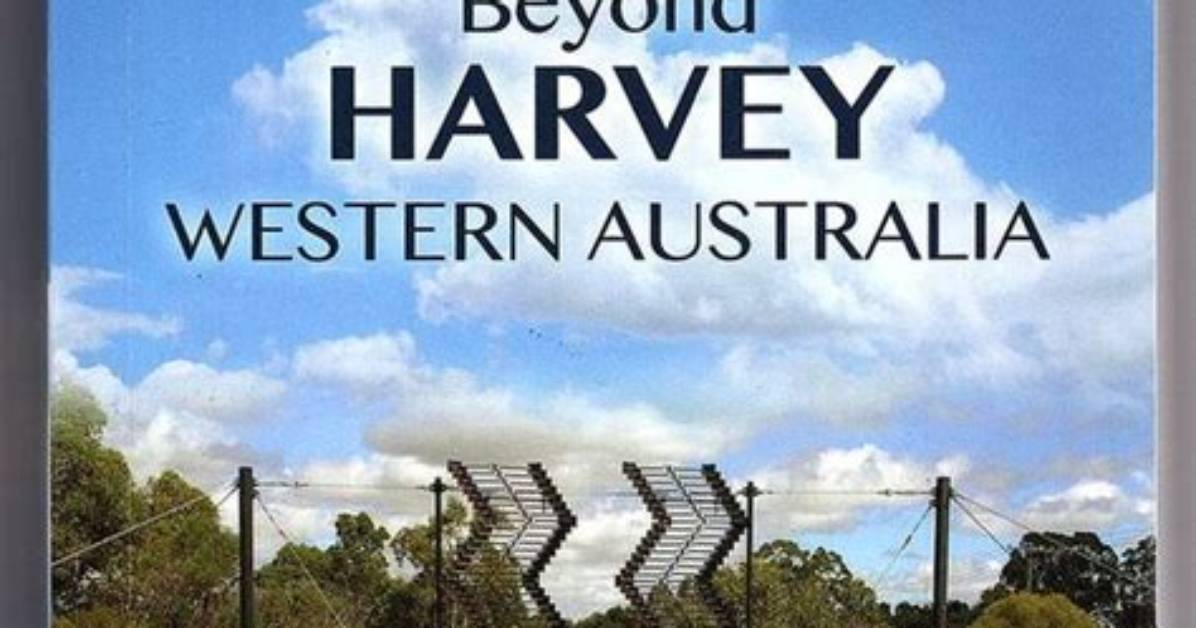 Stev Harvey: the Multifaceted Journey of a Comedy Legend